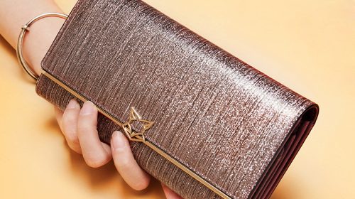 FOXER Women Fashion Leather Long Wallet Female Clutch Cellphone Bag Card Holder Lady Luxury Coin Purse